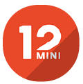 12mini